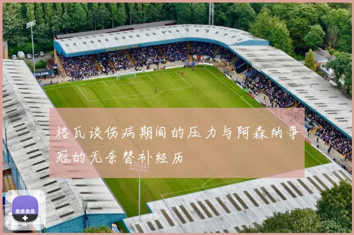 格瓦谈伤病期间的压力与阿森纳争冠的无奈替补经历