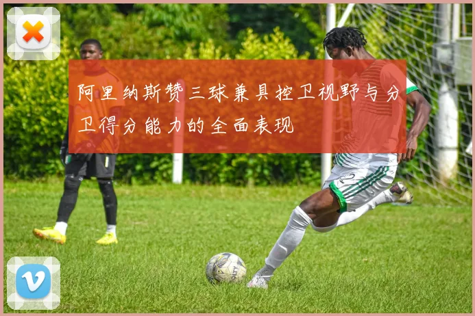 阿里纳斯赞三球兼具控卫视野与分卫得分能力的全面表现